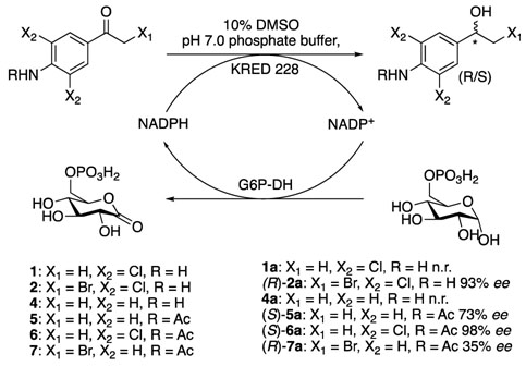 Fuerschung Fortschrëtter op enzymatesch Synthese