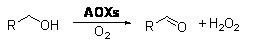 Alkohol oksidase1