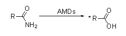 Амідаза (AMD) 2