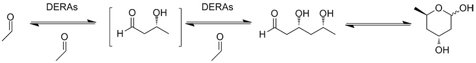 Ukusabela kweCatalytic1