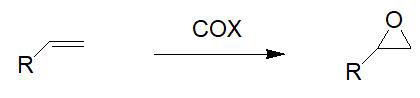 Cyclooxygénase COX