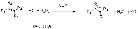 Cyclo-oxygenase COX2