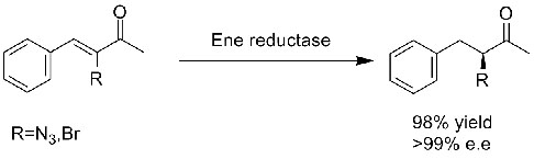 Ene reductase ERED3