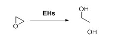 Epocsi hydrolase EH
