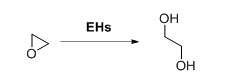 ಎಪಾಕ್ಸೈಡ್ ಹೈಡ್ರೋಲೇಸ್ EH