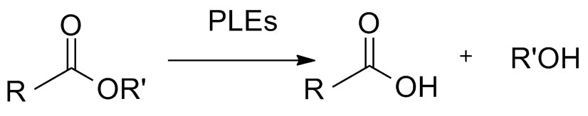 Esterāze un lipāze (PLE&CALB)