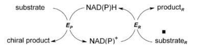 Formate dehydrogenase (FDH)3