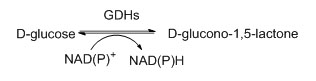 Glukosa dehidrogenase (GDH)