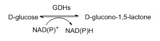 Глюкозодегидрогеназа (ГДГ)
