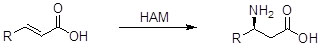 Hidroaminaza HAM