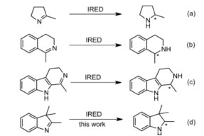 Imine reduktase (IRED)5