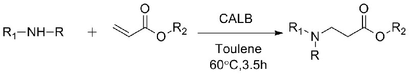 Имобилизиран CALB10