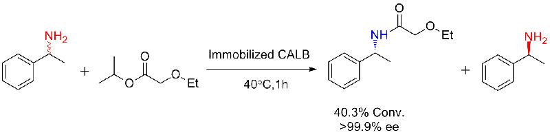 Имобилизиран CALB2