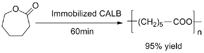 Иммобилизацияланған CALB3