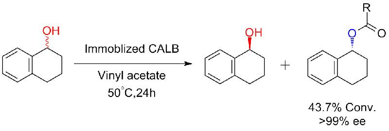 Immobiliséiert CALB5