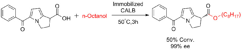 Imobilisasi CALB6