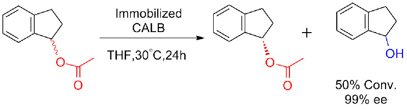 Immobilized CALB7