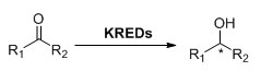 Ketoredectase KRED