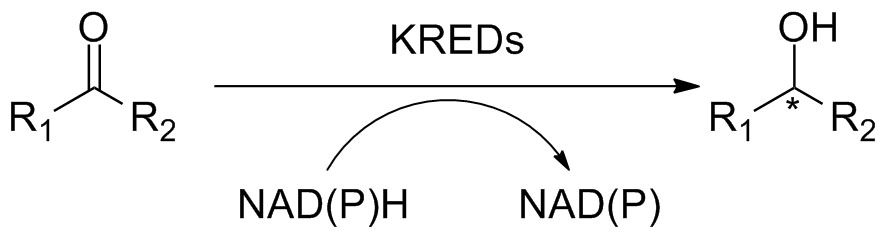 Ketoreduktase KRED2