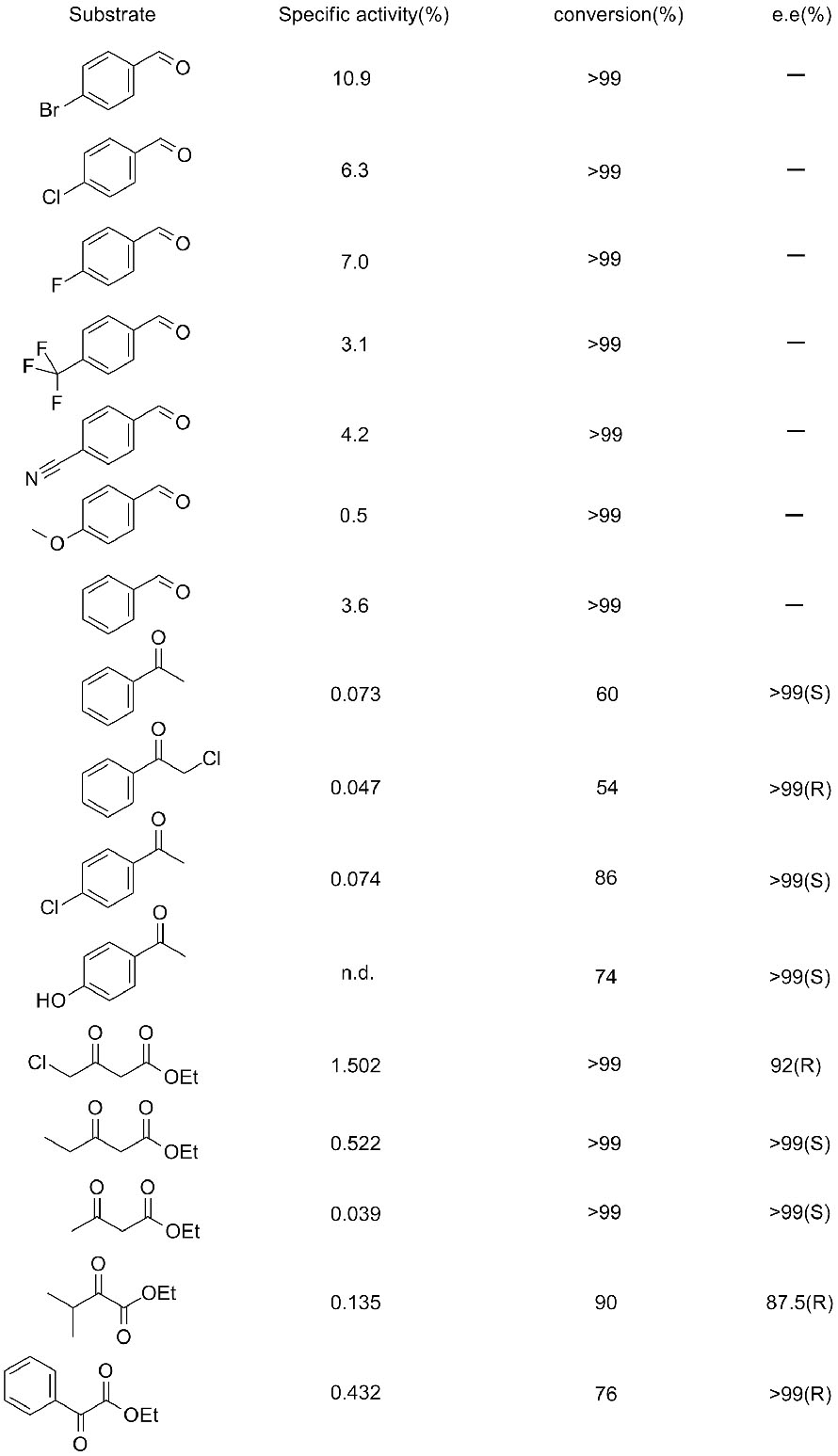 Ketoredectase KRED3