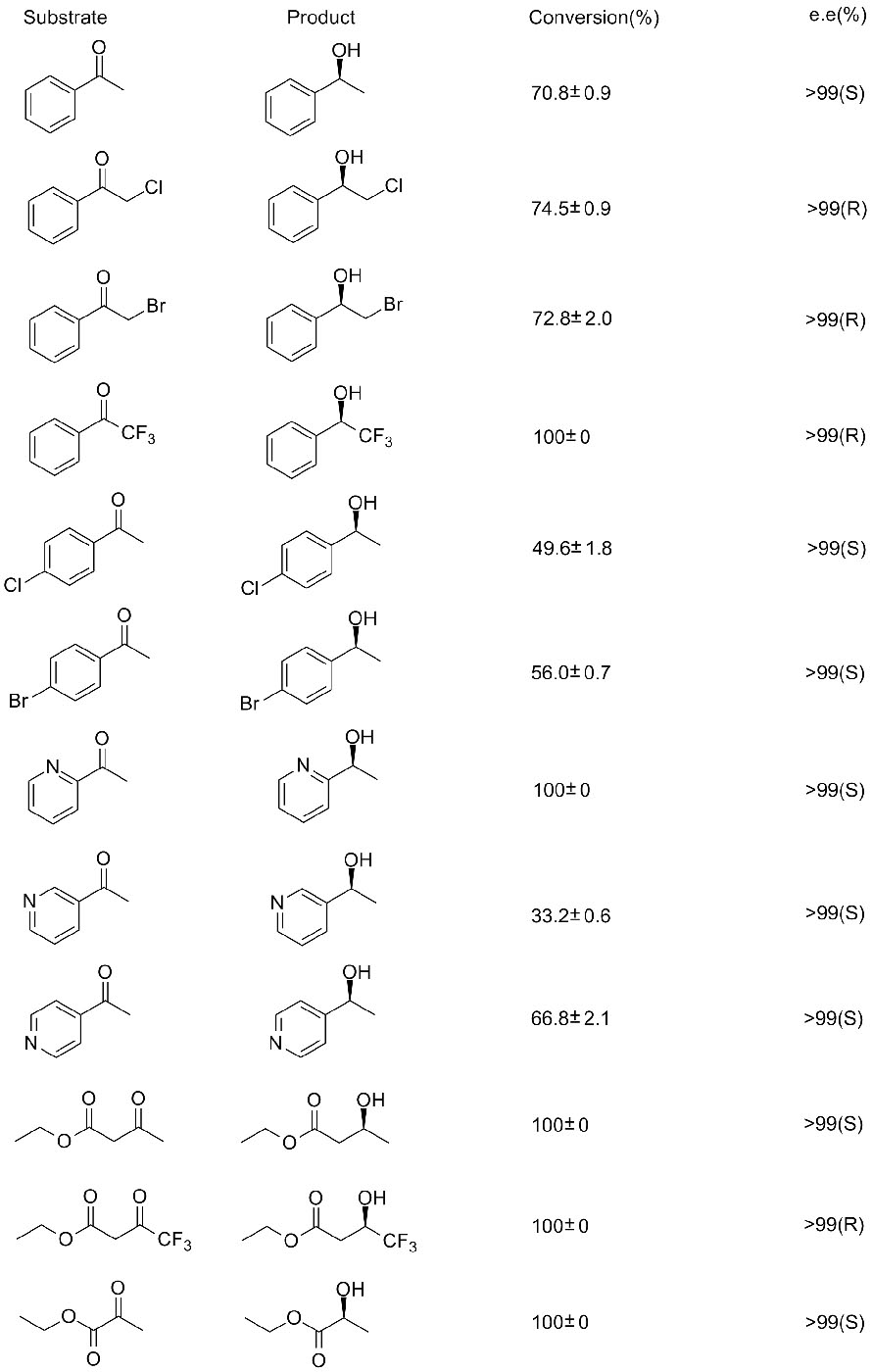 Ketoredectase KRED4