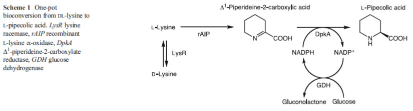 Lisina oxidase LO3