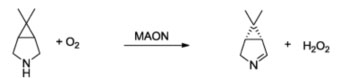 Monoamin oksidaza (MAO)3