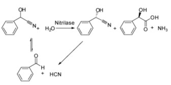 Nitrilase NIT4