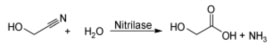 Nitrilase NIT6