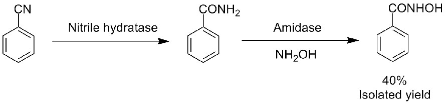 Nitrile hydratase NHT3