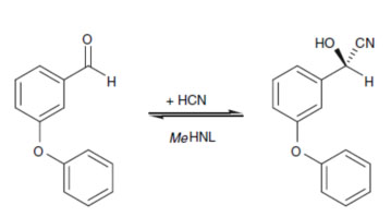 Oxinitrilases HNL3