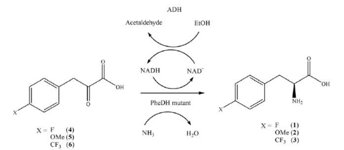 Bayanin PDH3