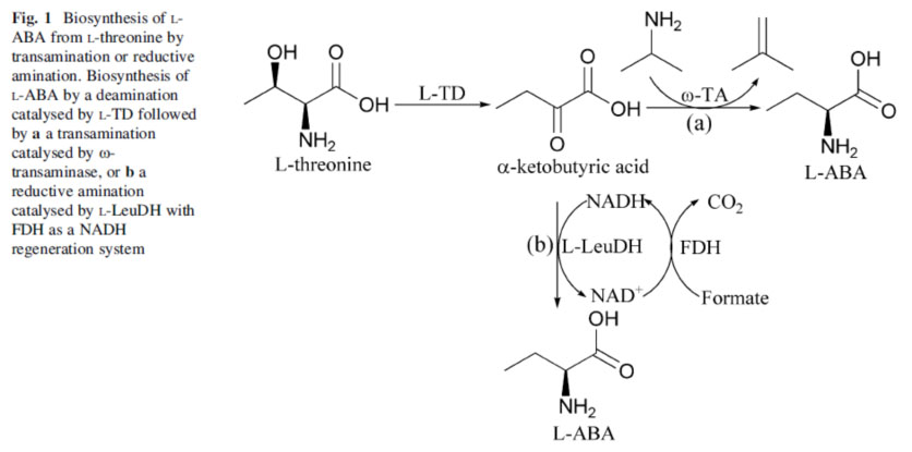 Threonine deaminase TDA3