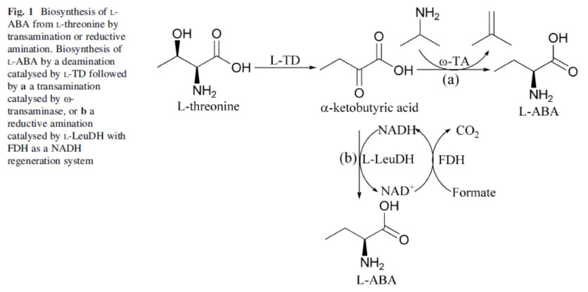 Threonin Deaminase TDA3