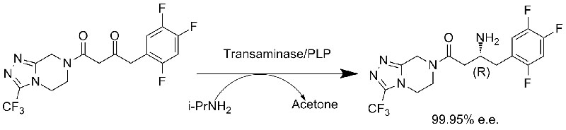 Трансаміназа АТА2