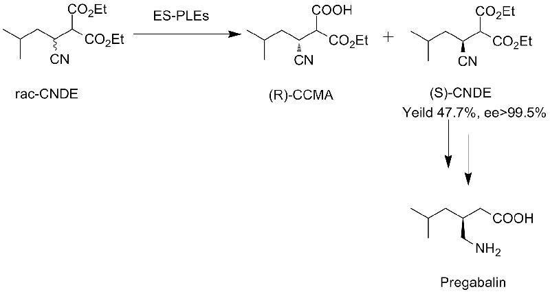 cal1