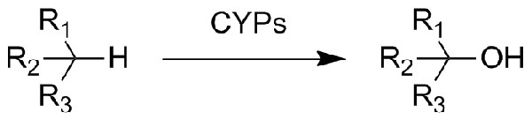 cyp