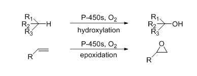 cyp3 ua