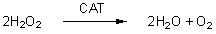 Catalase CAT1