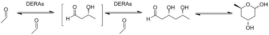 Catalytic reaction1