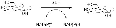 Глюкозодегидрогеназа (ГДГ)2