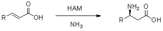 Гидроаминаза HAM2