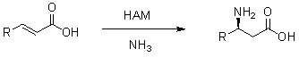 Hidroaminasa HAM2