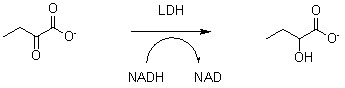 Instrucciones de lactato deshidrogenasa LDH2