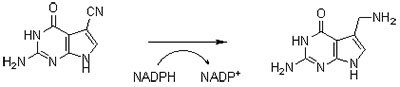 Nitrile reductase NRED2