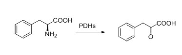 PDH