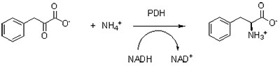 Saukewa: PDH2