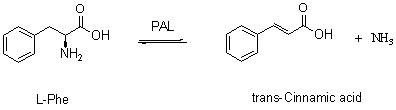 Phenylalanine ammonia lyase (PAL)2