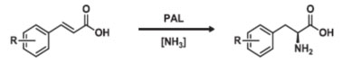Phenylalanine ammonia lyase (PAL)4