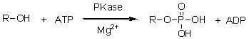 Phosphokinase PKase ២